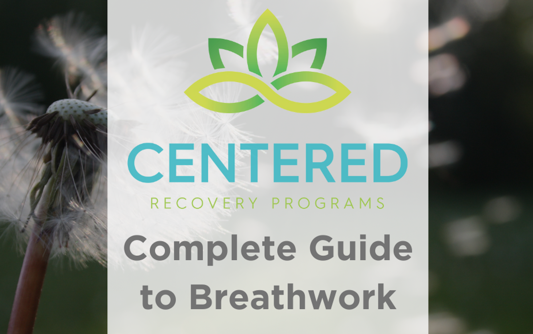 The Complete Guide to Breathwork